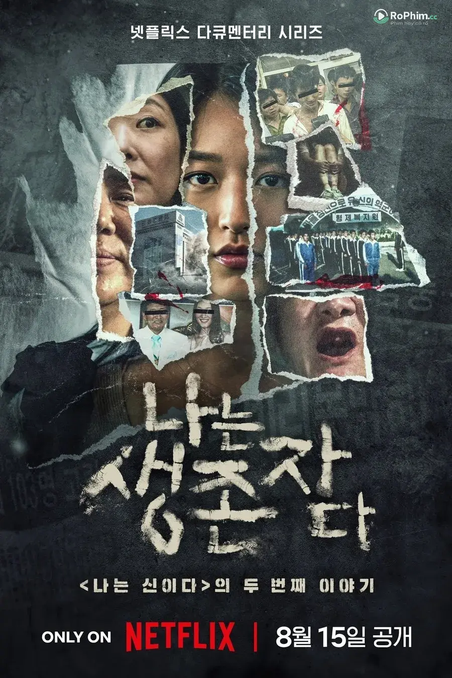 Âm Thanh Kêu Gọi Từ Những Cô Gái Mất Tích: Thảm Kịch Tại Hàn Quốc