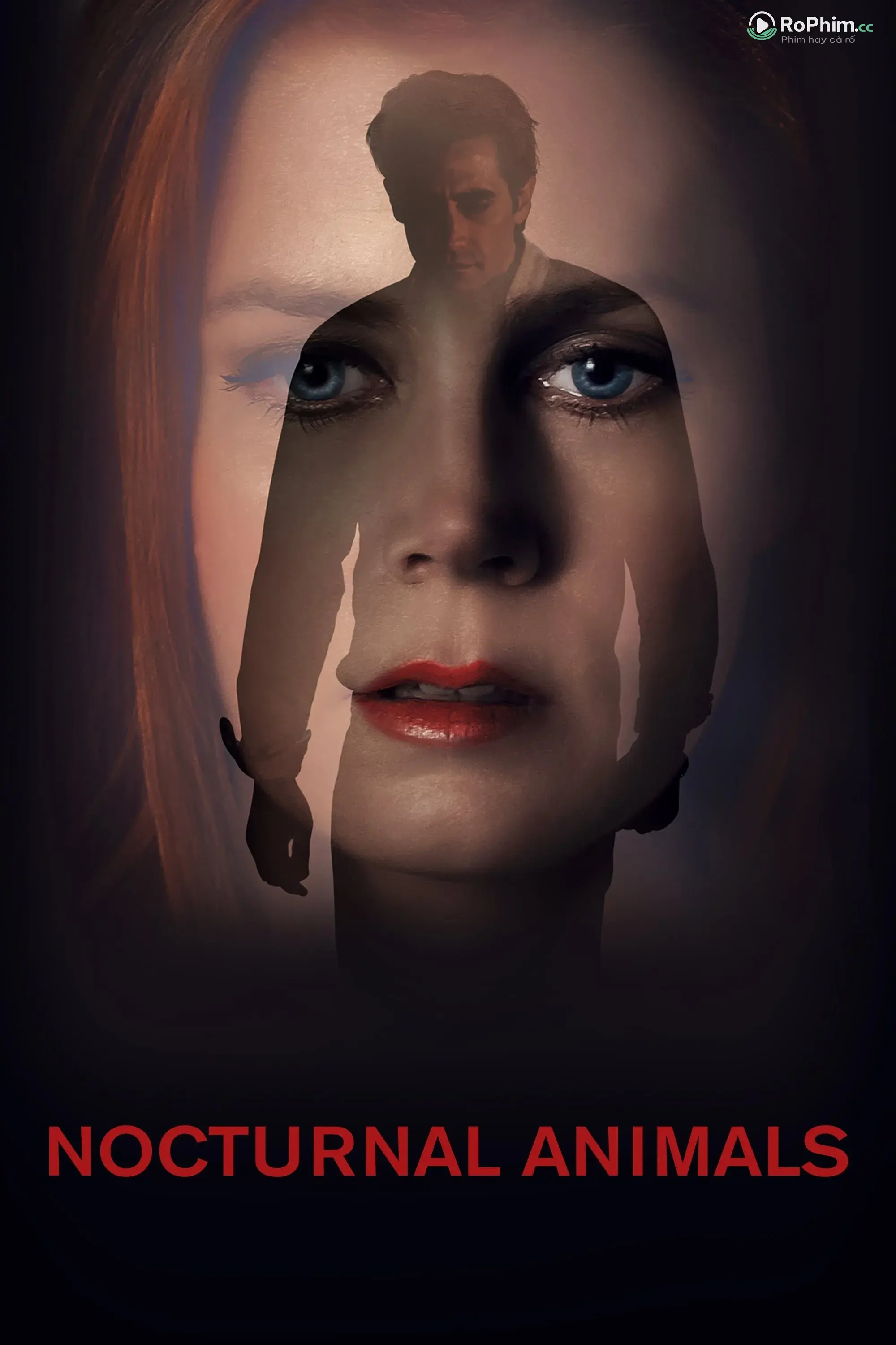 Kẻ Săn Tình Đêm