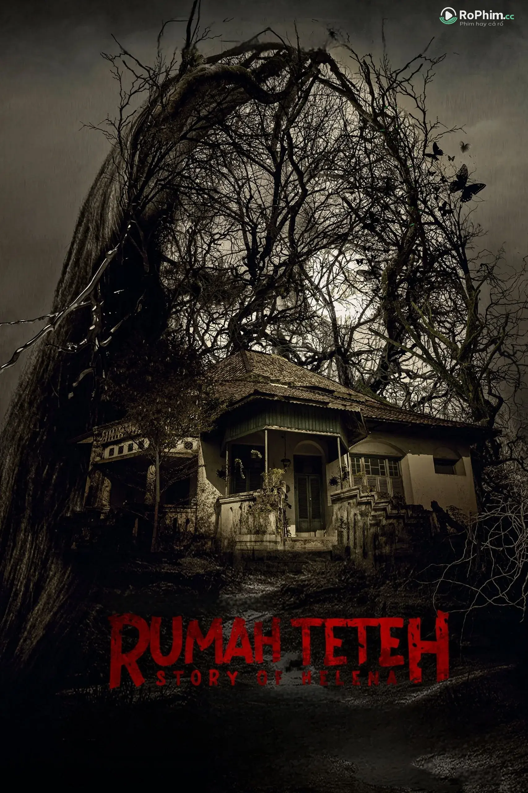 Rumah Teteh: Hành Trình Của Helena