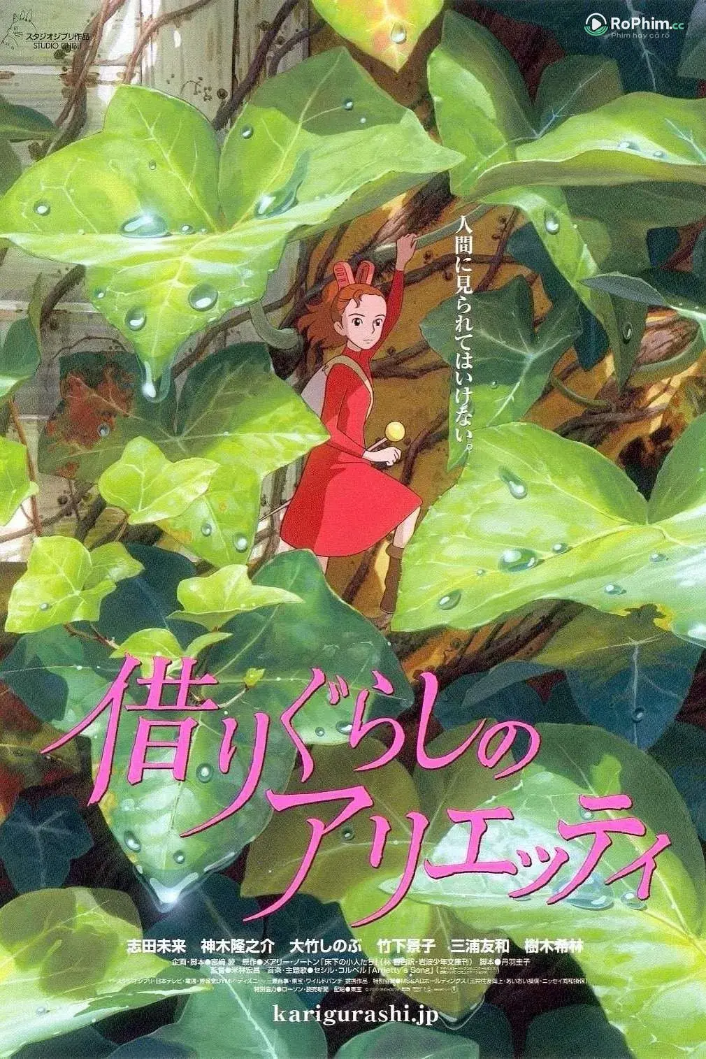 Thế Giới Bí Mật Của Arrietty: Cuộc Phiêu Lưu Sâu Thẳm
