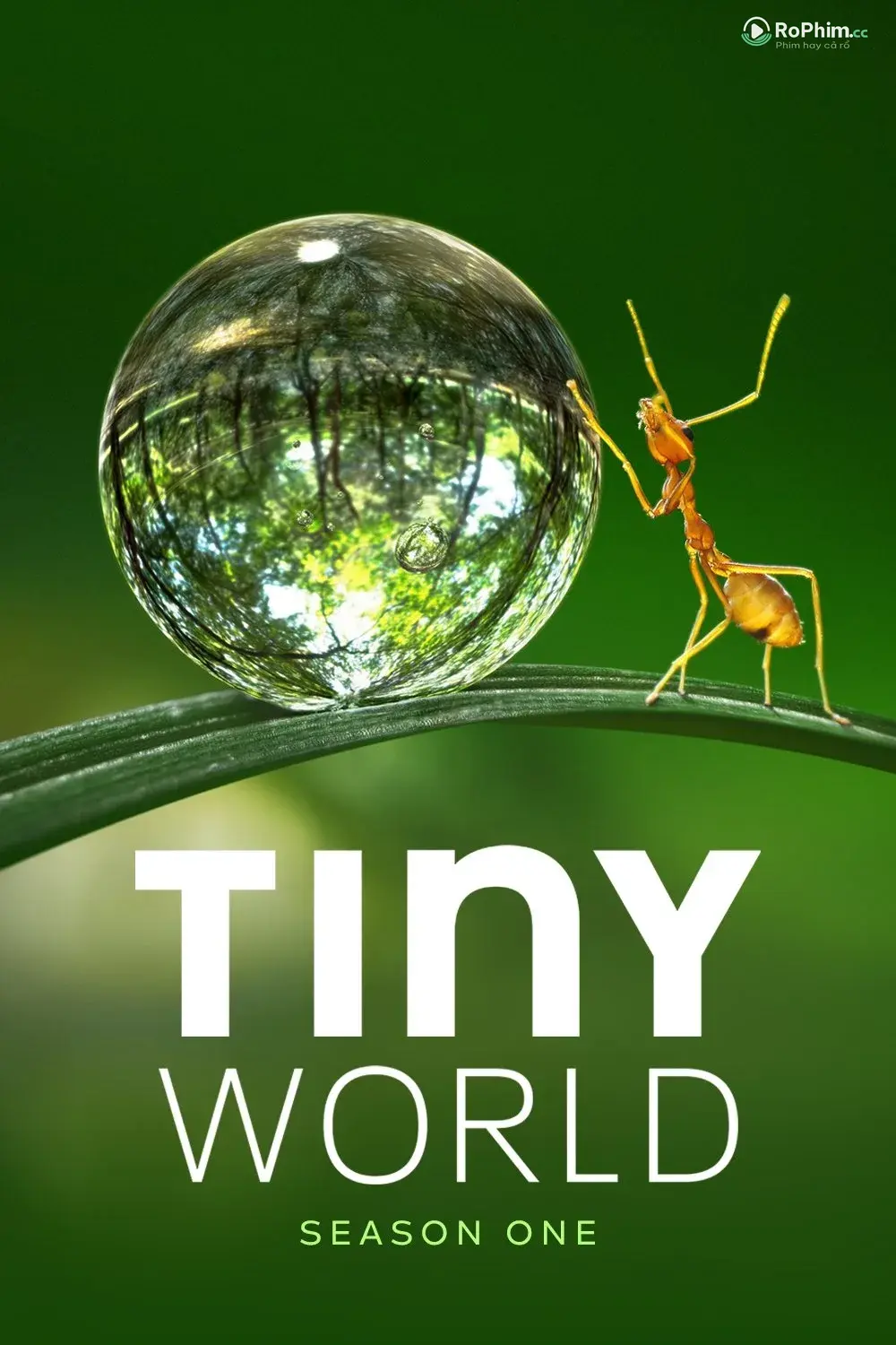 Thế Giới Khiêu Dâm  (Phần 1)